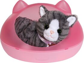 BABY born Mein Kätzchen Cookie mit Box