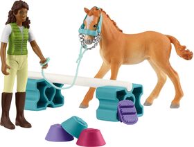 Mini-Playset Trainingsset für Fohlen