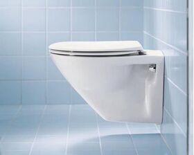 Duravit Wand-WC DURAPLUS HORNBERG tief, 360x530mm weiß