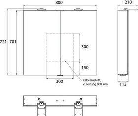 Emco LED-Lichtspiegelschr. FLAT 2 STYLE AP 800x721mm 2-tü m Aufsatzstrahler Alu