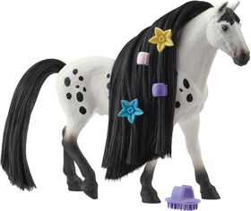 Beauty Horse Knabstrupper Hengst