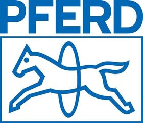 Feilenheft PH 13/10 Heft-L.120mm 300-350mm Ku.PFERD