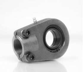 Gelenkkopf GIHRK20 DO 20 mm INA