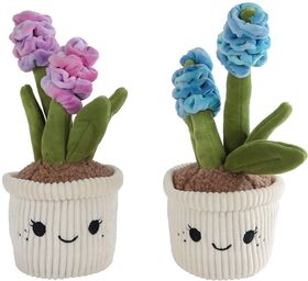 Take Me Home Plüsch Pflanzen, Hyazinthe,