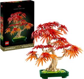 Botanical Japanischer Roter Ahorn – Bons