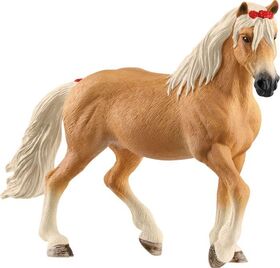 Haflinger Stute
