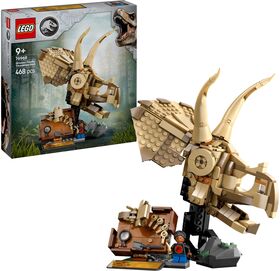 JUR Dinosaurier-Fossilien:Triceratops