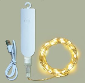 F-H-S  Lichterkette 100L Powerbank ws