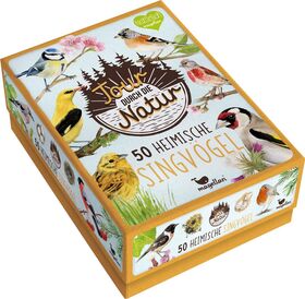 Tour durch die Natur Heimische Singvögel