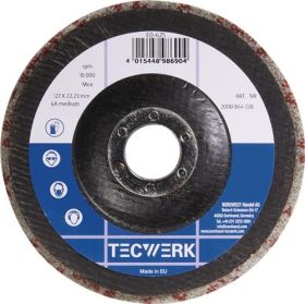 Vlies-Kompaktscheibe BUF010 D.125mm Bohr.22,23mm m.Fiberglasrücken anth.TW