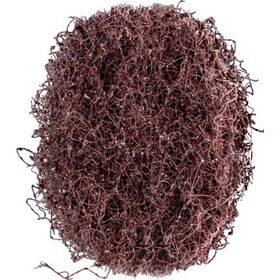 Schleifvliesscheibe POLINOX D.40mm medium 100 braun PFERD - VPE: 100