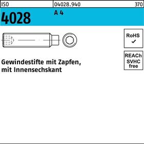 Gewindestift ISO 4028 Zapfen/Innen-6kt M6x 30 A 4 200 Stück - VPE: 200