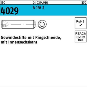 Gewindestift ISO 4029 Ringschneide/Innen-6kt M20x 30 A 2 10 Stück - VPE: 10