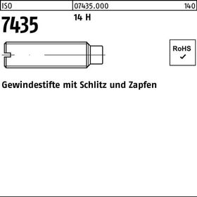 Gewindestift ISO 7435 Schlitz/Zapfen M5x 20 14 H 100 Stück - VPE: 100