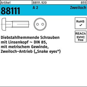 Schraube R 88111 diebstahlhemmend Liko/Zweiloch M5x 30 A 2 100 Stück - VPE: 100