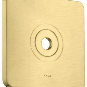HG Wandplatte Wandmontage brushed brass