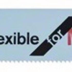 Säbelsägeblatt S 922 EF L.150mm B.19mm TPI 18 1,4mm geschr.,gefr.100 St./Karte