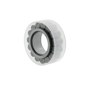 Zylinderrollenlager RSL182211 ID 55mm AD 88,81mm Breite25mm INA
