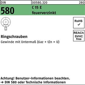 Ringschraube DIN 580 M20 C 15 E feuerverz. 1 Stück