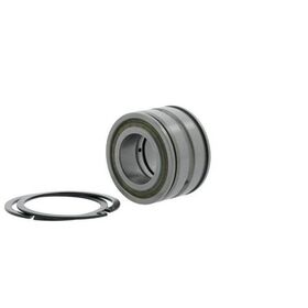 Zylinderrollenlager SL045016 -D-PP-2NR ID 80mm AD 125mm Breite60mm INA