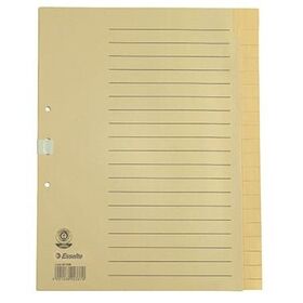 Esselte Register 621006 blanko DIN A4 20Bl. Papier chamois