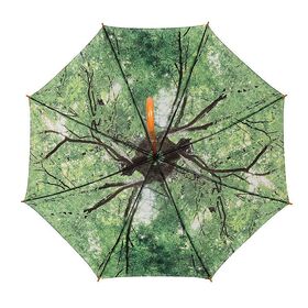 Regenschirm Baumkrone