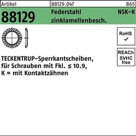 Sperrkantscheibe R 88129 NSK-K 5 Federstahl zinklamellenb. 1000St. TECKENTRUP - VPE: 1000