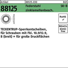 Sperrkantscheibe R 88125 B 6x18,2x1,4 Federst. zinklamellenb. 250St TECKENTRUP - VPE: 250