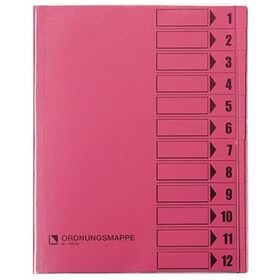 Bene Ordnungsmappe 083800RS DIN A4 12Fächer PVC rosa