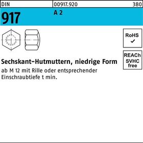 Sechskanthutmutter DIN 917 niedrige FormM10 SW 17 A 2 250 Stück - VPE: 250
