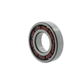Rillenkugellager 6304 -TB ID 20mm AD 52mm Breite15mm FAG