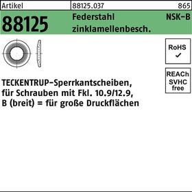 Sperrkantscheibe R 88125 NSK-B 6 Federstahl zinklamellenb. 1000St. TECKENTRUP - VPE: 1000