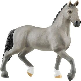 Cheval de Selle Francais Hengst