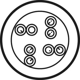 CAT 6 Netzwerkkabel, U/UTP, weiß, 305m- VPE: 1