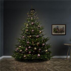 200 LED-Baummantel mit Ring, 8x 1,5 m- VPE: 1
