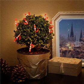 10er LED-Lichterkette Zuckerstangen- VPE: 1
