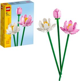 Creator Lotusblumen