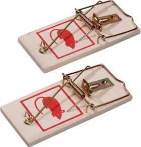 Schlagfalle Mausefalle 100x45x6mm NOW