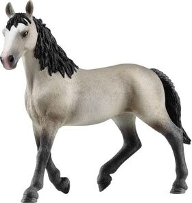 Cheval de Selle Francais Stute