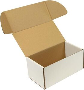 Klappschachtel 1-wellig Maße 307x170x145mm Qualität 1.20 B weiß TRANSPAK - VPE: 50