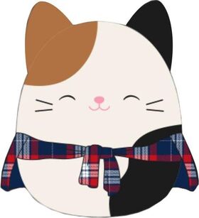Squishmallows 30cm CAM die Katze