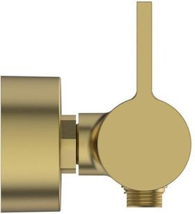 IDS Einhebel-Brausearmatur JOY AP DN 15 brushed gold IDEAL STANDARD