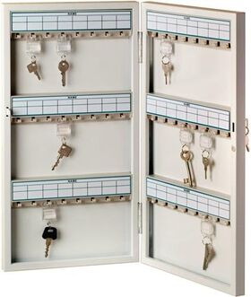 Schlüsselschrank 6750 H455xB380xT50mm 1-türig Zylinderschl.Anz.Hak.72