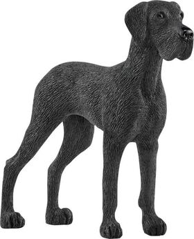 Dänische Dogge
