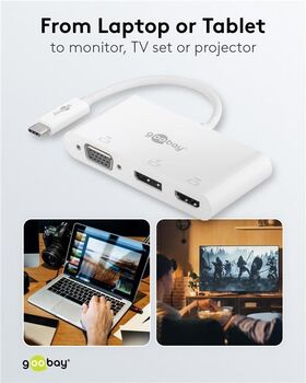 USB-C™ Multiport-Adapter auf VGA, DisplayPort™, HDMI™- VPE: 1