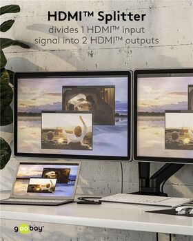HDMI™-Splitter 1 auf 2- VPE: 1