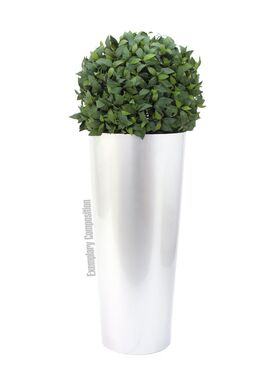EUROPALMS LEICHTSIN ELEGANCE-69, weiß, glänzend