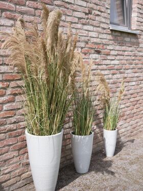 EUROPALMS Chinaschilf Gracillimus, künstlich, 110cm
