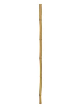 EUROPALMS Bambusrohr, Ø=5cm, 200cm