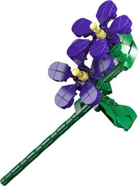 Mould K. Veilchen, 145 Teile